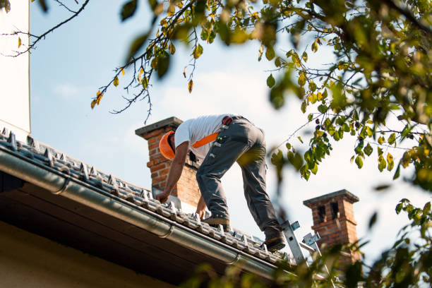 Residential Roof Replacement in Troy, TN
