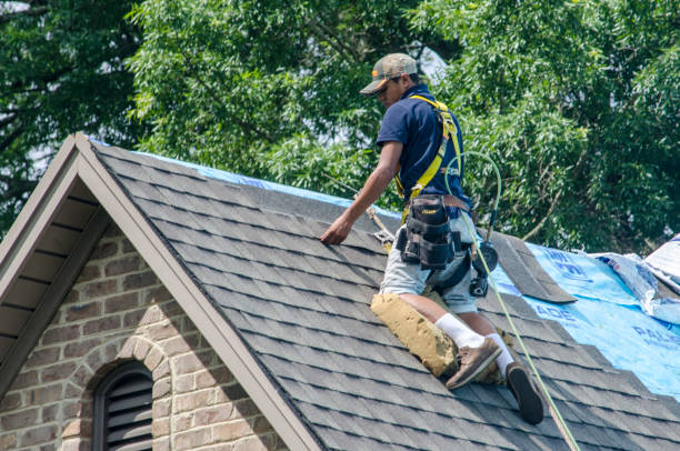 Best Storm Damage Roof Repair  in Troy, TN